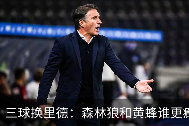 三球换里德：森林狼和黄蜂谁更癫？！